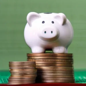 Почему финансовая дисциплина не должна быть слишком жесткой