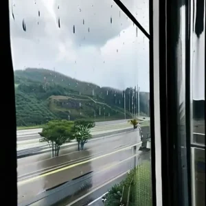 Что делать в дождливый день во время путешествия