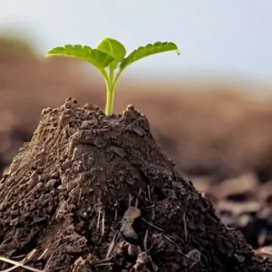 Почему рост начинается не с давления, а с понимания