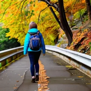 Как выбрать сезон для комфортной поездки