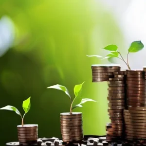 Что помогает сохранять устойчивость при переменных расходах